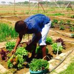 Zebulun Veggie Garden