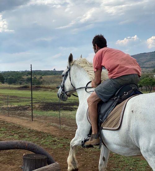 WhatsApp Image 2020-01-13 at 2.56.45 PM