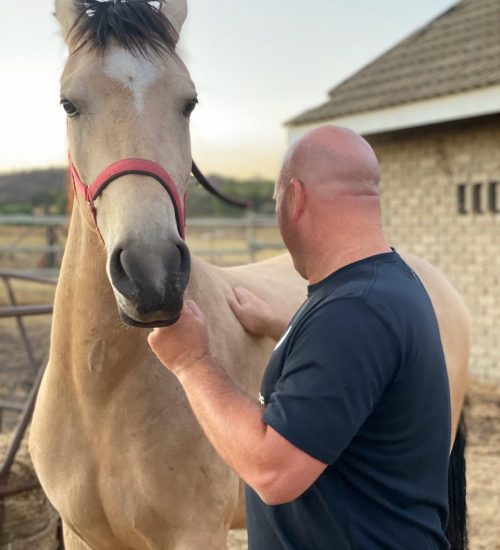 WhatsApp Image 2020-01-13 at 2.56.47 PM