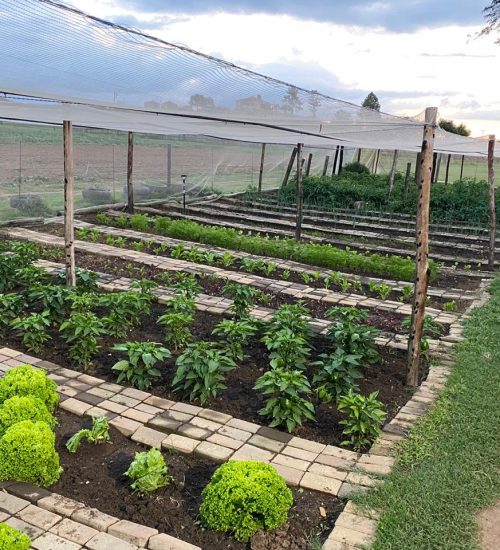 WhatsApp Image 2020-01-29 at 5.06.11 PM (1)