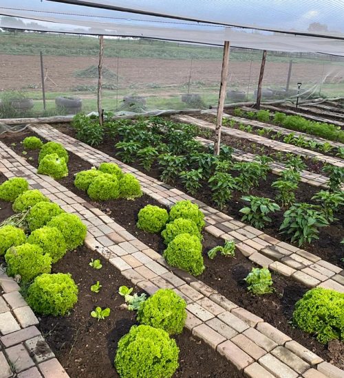 WhatsApp Image 2020-01-29 at 5.06.11 PM