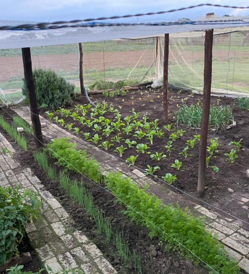 WhatsApp Image 2020-01-29 at 5.06.12 PM (1)