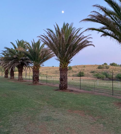 WhatsApp Image 2020-01-29 at 5.06.13 PM (1)