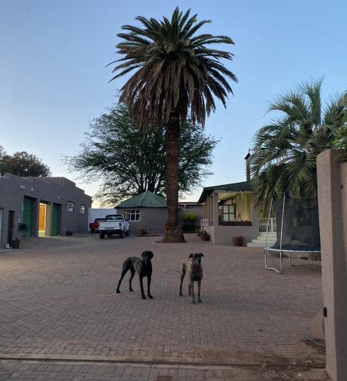 WhatsApp Image 2020-01-29 at 5.06.13 PM