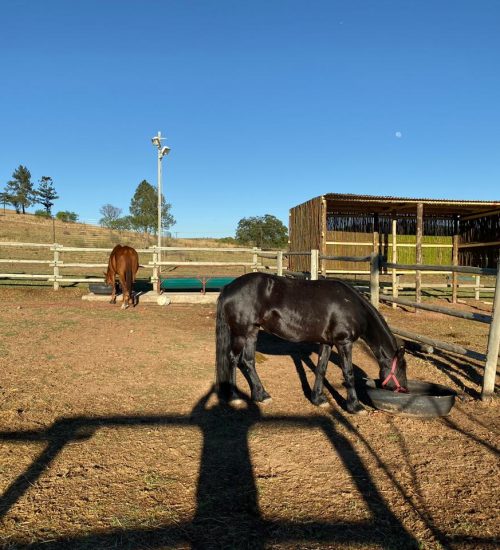 WhatsApp Image 2020-01-29 at 5.06.14 PM (1)