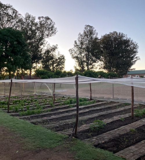 WhatsApp Image 2020-01-29 at 5.06.14 PM