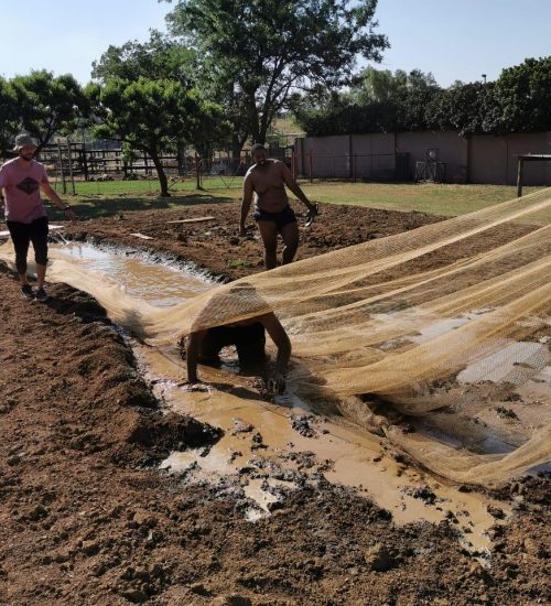 WhatsApp Image 2020-01-29 at 5.06.17 PM (2)