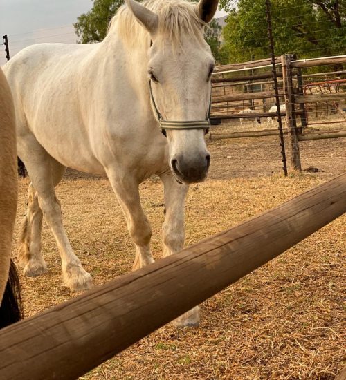 WhatsApp Image 2020-01-29 at 5.10.48 PM