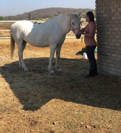 WhatsApp Image 2020-01-29 at 5.10.50 PM