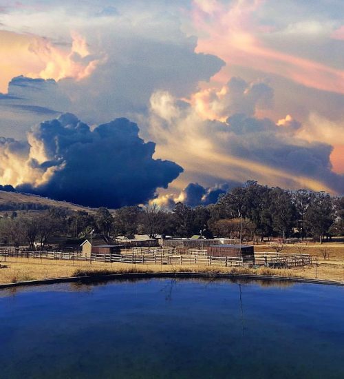 WhatsApp Image 2020-07-14 at 10.58.53 AM