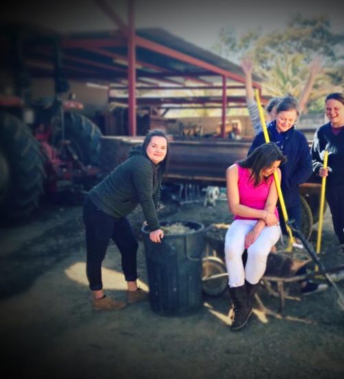 WhatsApp Image 2020-07-14 at 10.58.54 AM (1)