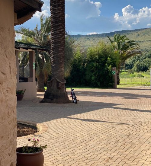 WhatsApp Image 2020-07-14 at 10.58.56 AM (1)