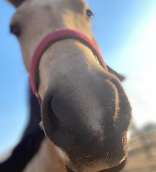 WhatsApp Image 2020-07-14 at 10.58.59 AM