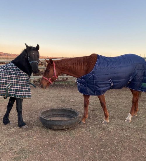 WhatsApp Image 2020-07-14 at 10.59.04 AM (2)