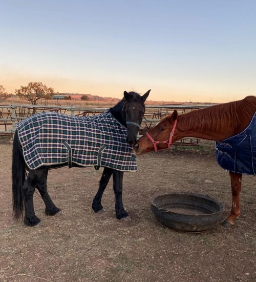 WhatsApp Image 2020-07-14 at 10.59.05 AM (1)