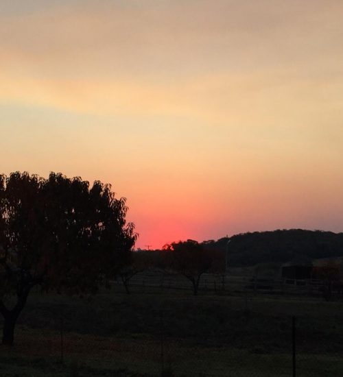 WhatsApp Image 2020-07-14 at 10.59.06 AM