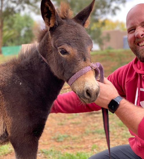 WhatsApp Image 2020-07-14 at 10.59.17 AM (2)