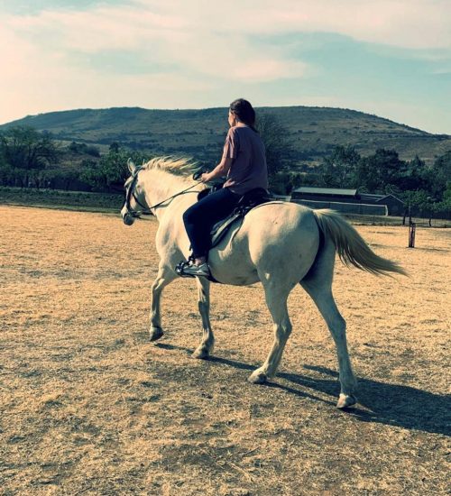 WhatsApp Image 2020-07-14 at 10.59.18 AM (1)