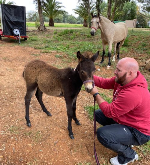 WhatsApp Image 2020-07-14 at 10.59.18 AM